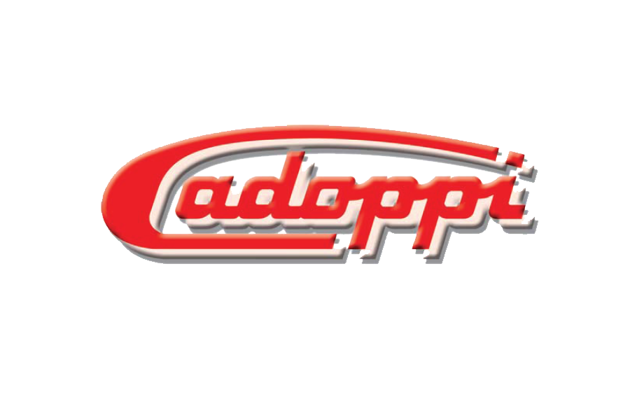 Cadoppi, profesionalne motorne i električne pumpe za vodu
